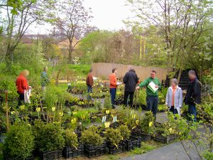 schaugarten