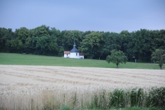 DSC_6608