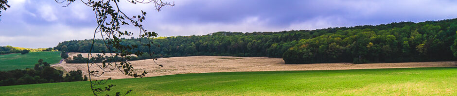 Natur Landschadt